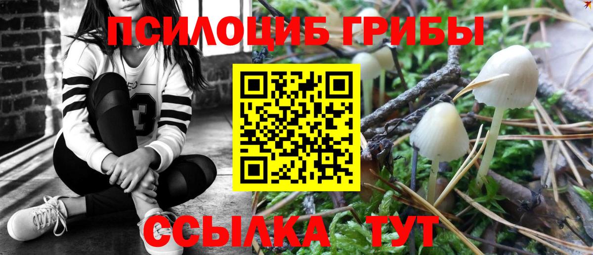 Галлюциногенные грибы GOLDEN TEACHER Арзамас