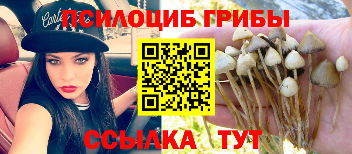 Арзамас  Галлюциногенные грибы прущие грибы  Вход с VPN 